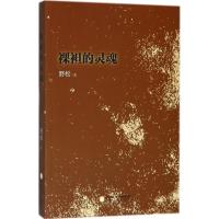 裸袒的灵魂9787227068365