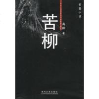 苦柳高阳9787531325536