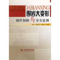  围岩大变形锚杆加固与安全监测汤雷 鄢建华 陈仲先9787508435626