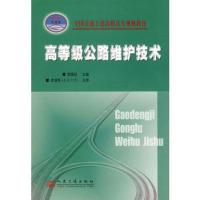 高等级公路维护技术