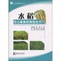 水稻无公害高效和栽培技术