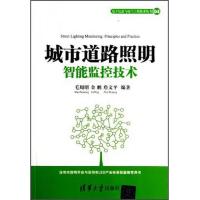 电子信息与电气工程技术丛书:城市道路照明智能监控技术