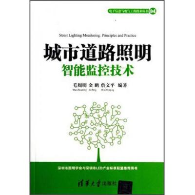 电子信息与电气工程技术丛书:城市道路照明智能监控技术