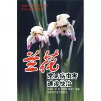 兰花常见病虫害速诊快治