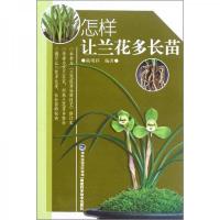 怎样让兰花多长苗