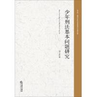 少年刑法基本问题研究