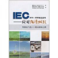 IEC2010~2030年白皮书:应对能源挑战