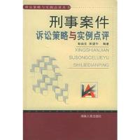 刑事案件诉讼策略与实例点评——诉讼策略与实例点评丛书