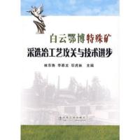 白云鄂博特殊矿采选冶工艺攻关与技术进步