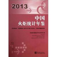 中国火炬统计年鉴(2013)