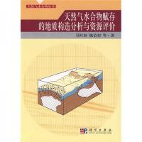 天然气水合物赋存的地质构造分析与资源评价