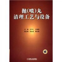 抛(喷)丸清理工艺与设备