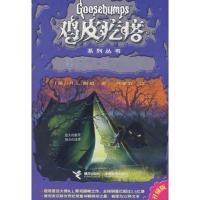 鸡皮疙瘩系列丛书:噩梦营·邻屋幽魂