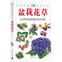 盆栽花草