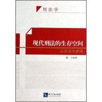 现代刑法的生存空间:以民法为参照
