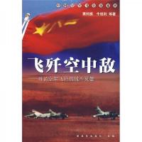 飞歼空中敌：寻访空军飞行员战斗英雄