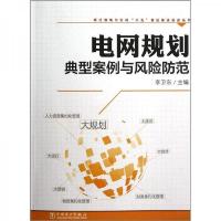 电网规划典型案例与风险防范