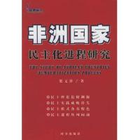 非洲国家民主化进程研究