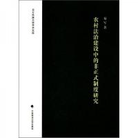 北方民族大学学术文库:农村法治建设中的非正式制度研究