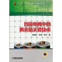 智能电网中的风光储关键技术