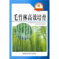 毛竹林高效培育