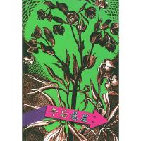 镜子里的城市--午后悬崖