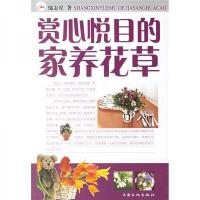 赏心悦目的家养花草