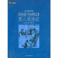 六角丛书中外名著榜中榜·苦儿流浪记(新版)