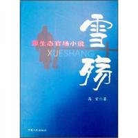 原生态官场小说:雪殇