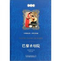 巴黎圣母院（全译本）