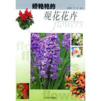 娇艳艳的观花花卉/花落我家丛书