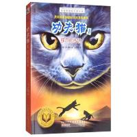 功夫猫(1):铁爪的传说/金麦田国际大奖小说