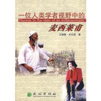 一位人类学者视野中的麦西莱甫