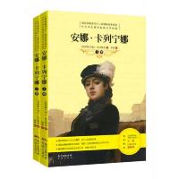 安娜·卡列宁娜(套装上下册)