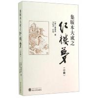 集版本大成之红楼梦(中册)