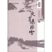 今夜有暴风雪(大字版)