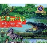 生命的开始(鳄鱼青蛙野鸭)(精)克莱尔·卢威林 蒋家杰9787539726694