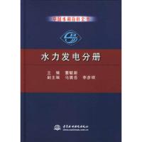 中国水利百科全书·水力发电分册董毓新9787508410739