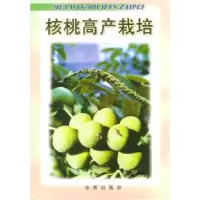 核桃高产栽培9787800226694