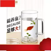 容量加厚玻璃杯水杯男女士耐热透明带盖家用带把泡茶杯1000ml