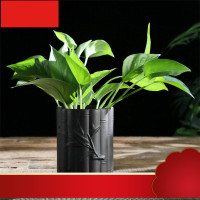 花盆新款复古盆景水培花盆多肉富贵竹碗莲植物创意简约粗盆