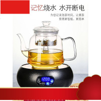 煮茶壶全玻璃烧水壶泡茶专用蒸茶器全自动电陶炉小煮茶炉家用