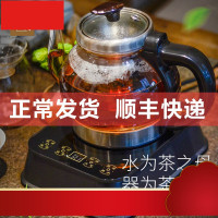 礼煮茶壶煮茶器全自动抽水式智能煨茶壶电磁炉玻璃壶黑茶壶