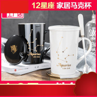 居家马克杯 十二星座创意情侣水杯家用喝水杯子 办公室咖啡杯