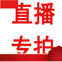 一丸土 宜兴紫砂茶壶茶具套装 名家正品纯全手工紫砂直播专拍