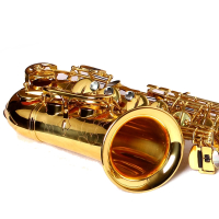 萨克斯降E调中音初学者成人儿童黄铜管乐器考级送萨克斯