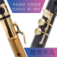 简易小萨克斯成人儿童初学者萨克斯风迷你口袋中音哨片专业乐器