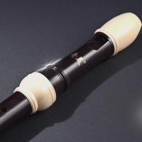 奇美竖笛中音英式B八孔F调巴洛克式8孔中音德式G成人初中学生笛子 8孔中音德式G字母(日耳曼式)23G标准版+送绒布袋