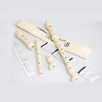 雅马哈(YAMAHA)竖笛儿童学生初学教学YRS23G德式24B英式C调高音8孔顺丰