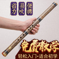 萧乐器初学入门成人零基础紫竹洞箫八孔G调F调一节短素潇